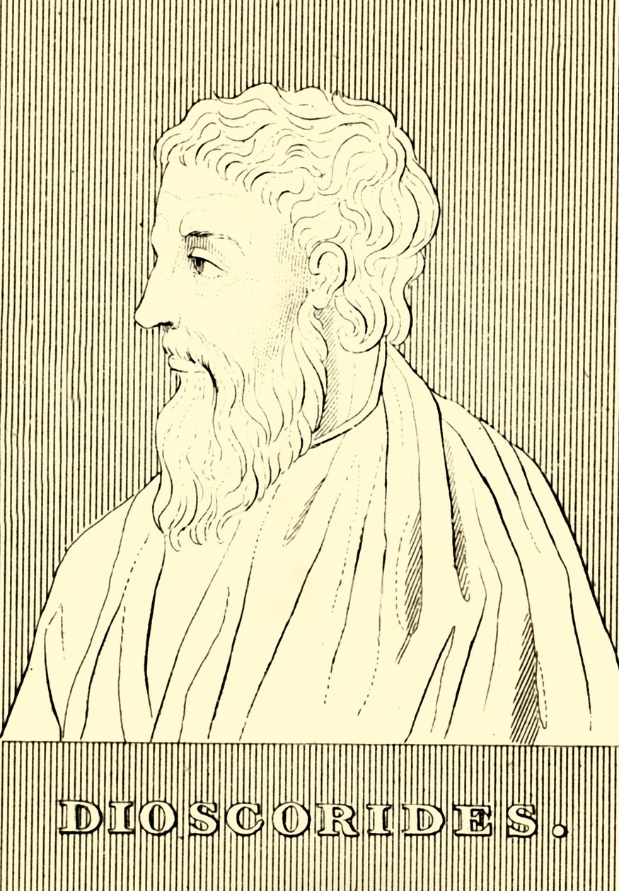 Dioscorides, c40-90 e.Kr., 1830 af Unbekannt