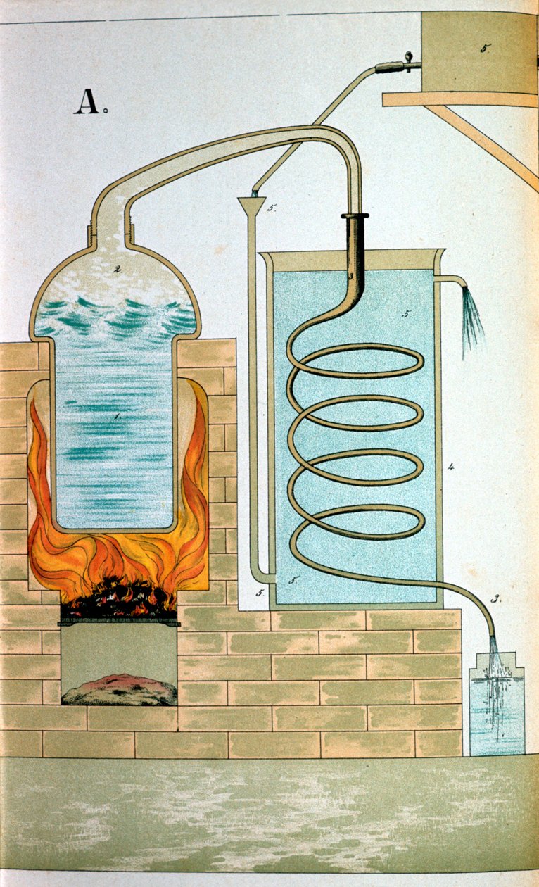 Destillation, 1882 af Unbekannt