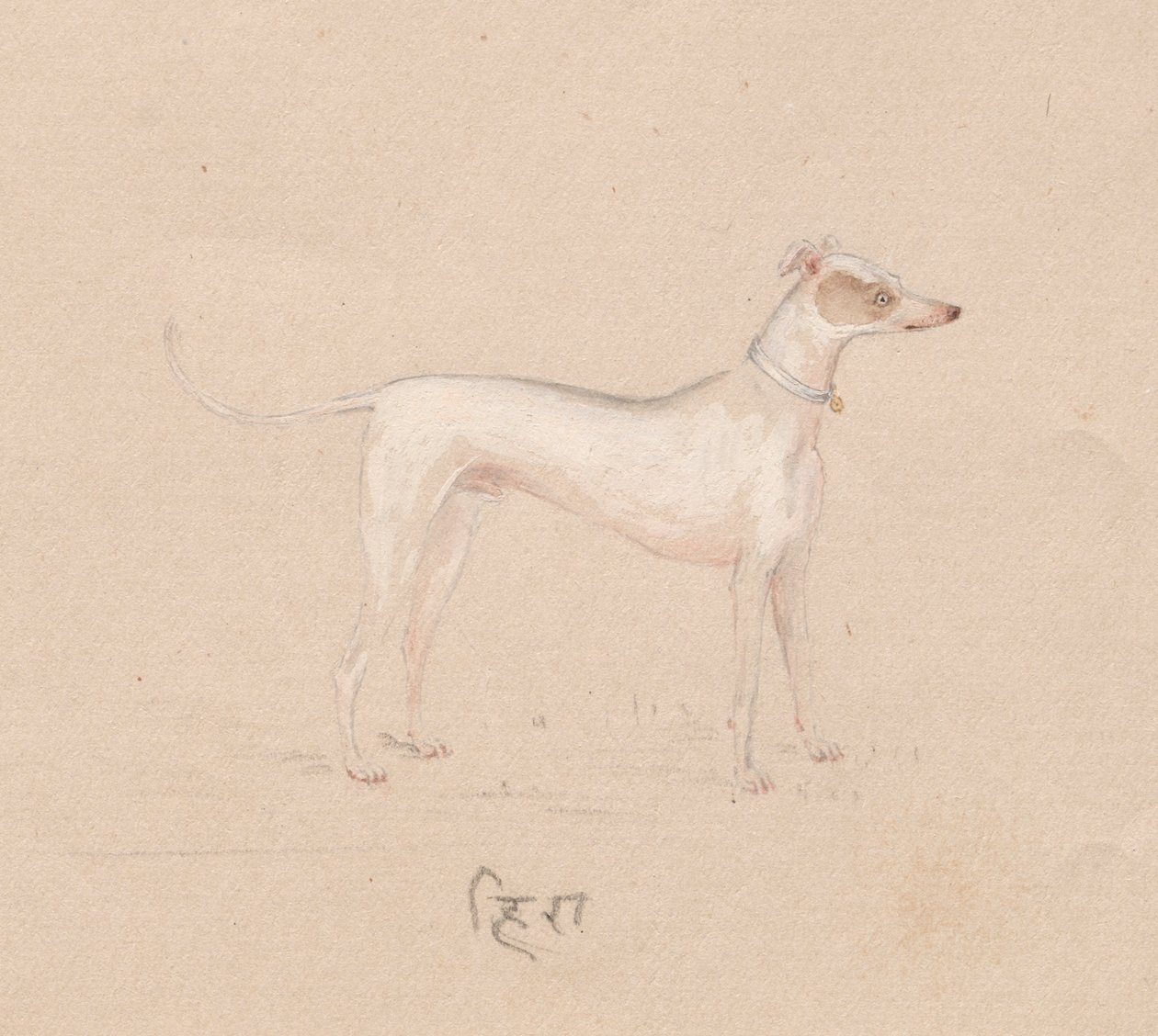 Hund, 1800-tallet. af Unbekannt