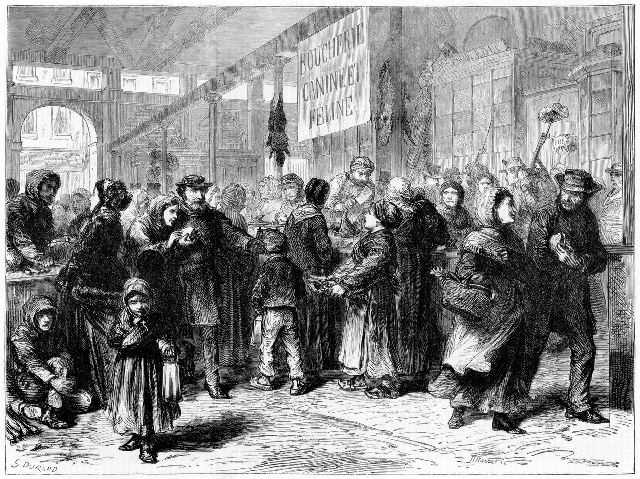 Hunde- og kattekødsslagter i Paris, fransk-preussisk krig, 1871 af Unbekannt
