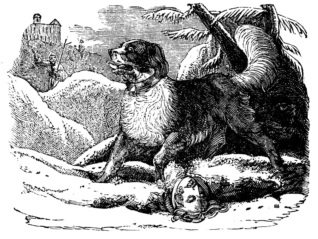 Hund fra Hospice St Bernard finder en rejsende i sneen, c1840 af Unbekannt