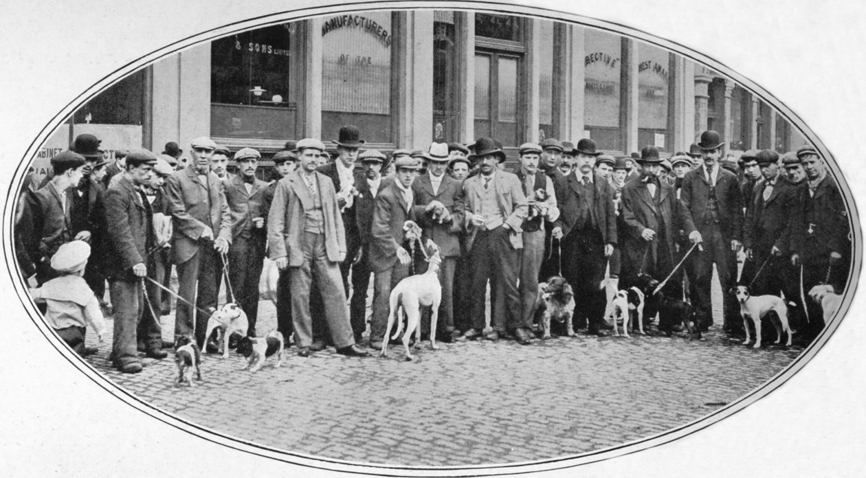 Hundesælgere og -købere i East End, London, c1900 1901 af Unbekannt