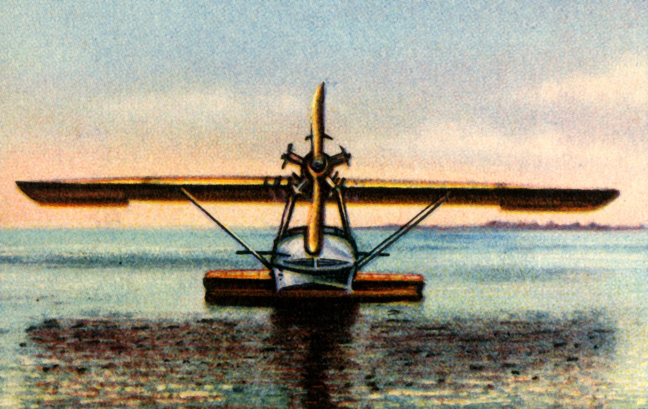 Dornier Libelle flyvebåd, 1920
