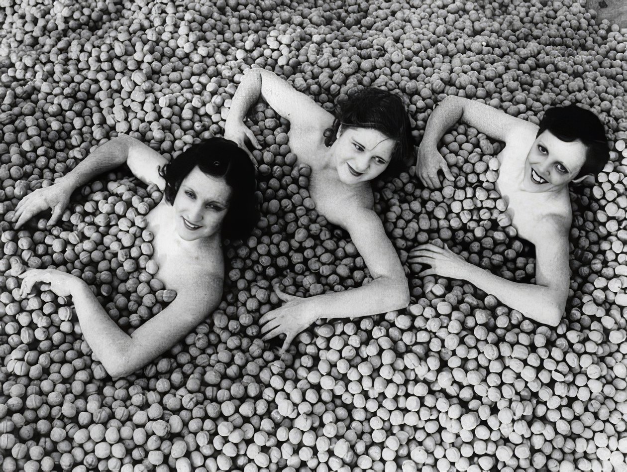 Tre unge kvinder bader i et hav af valnødder. Amerika. 1932 af Unbekannt