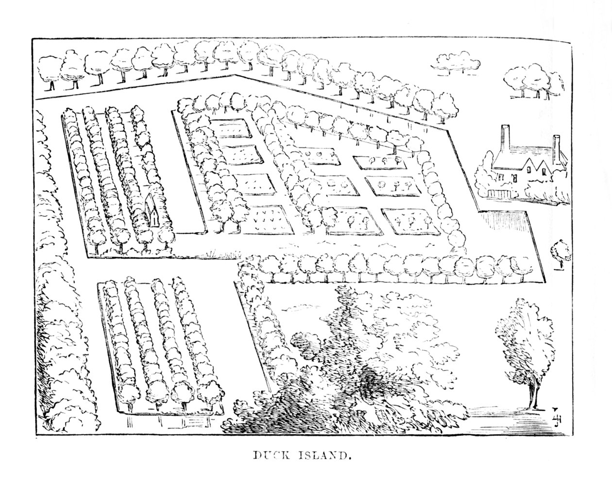 Andeøen, c1870 af Unbekannt