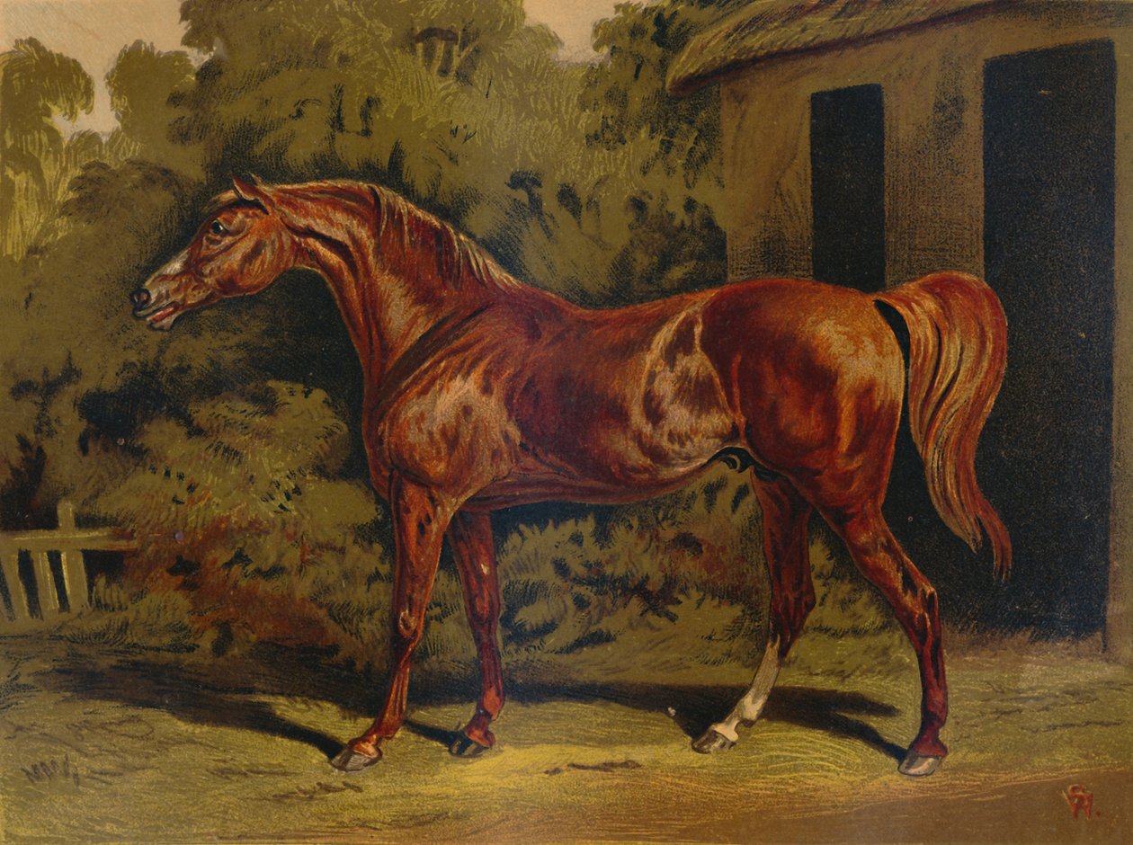 Eclipse, c1879. af Unbekannt
