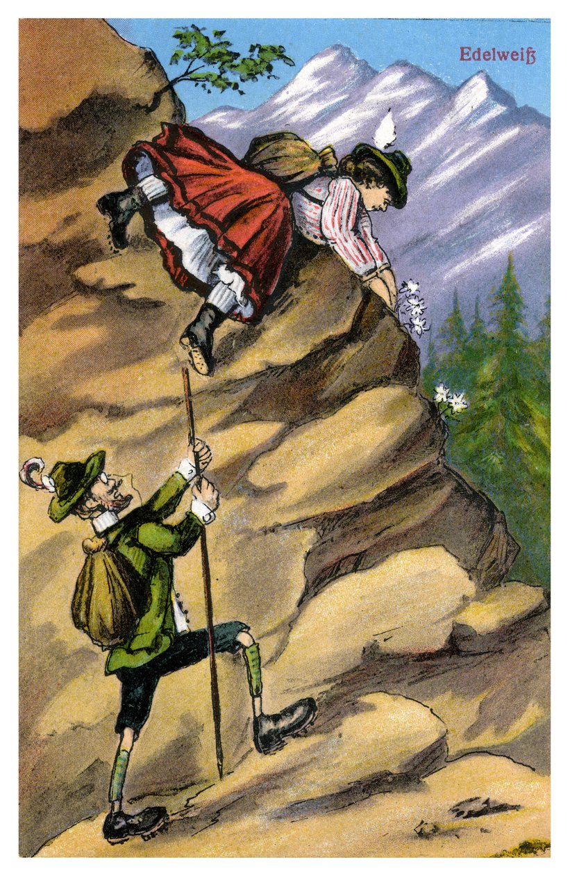 Edelweiss, slutningen af det 19. eller begyndelsen af det 20. århundrede af Unbekannt
