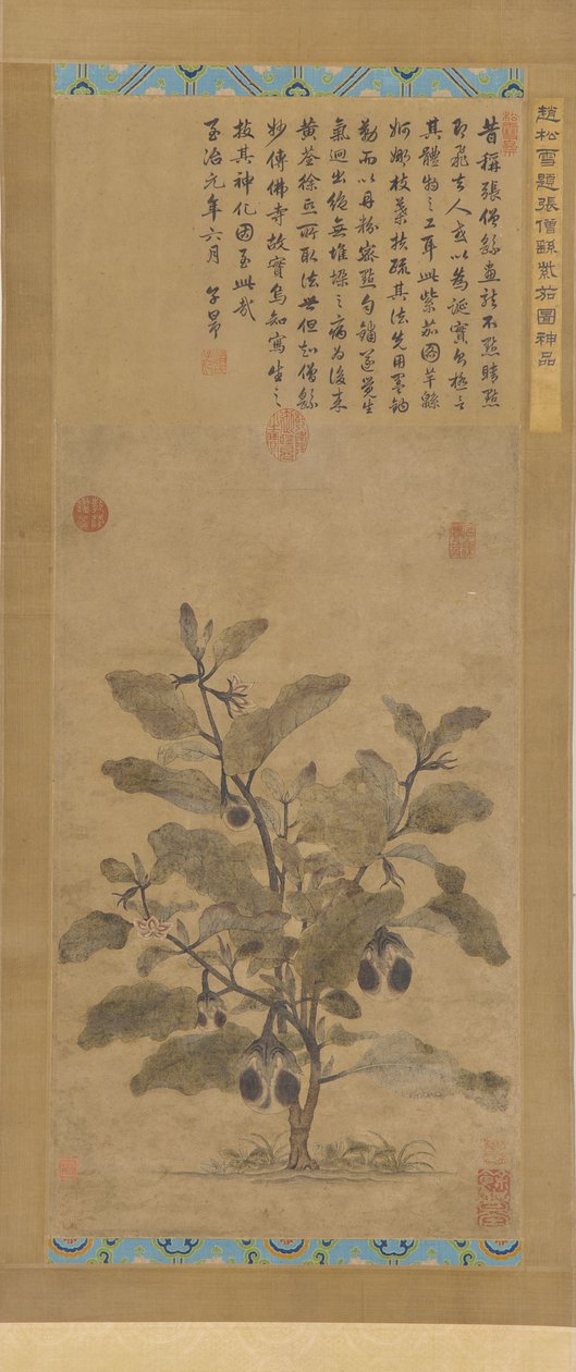 Aubergine, Ming-dynastiet, 1368-1644. af Unbekannt