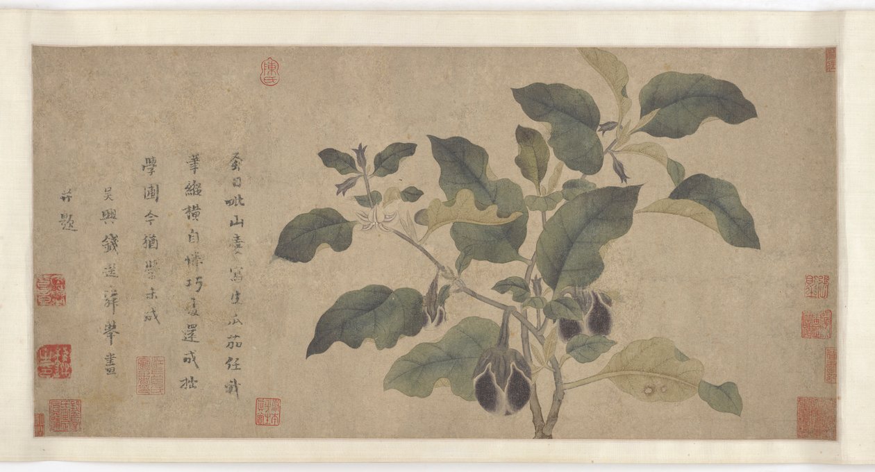 Aubergine, Yuan eller Ming-dynastiet, 1300-tallet. af Unbekannt