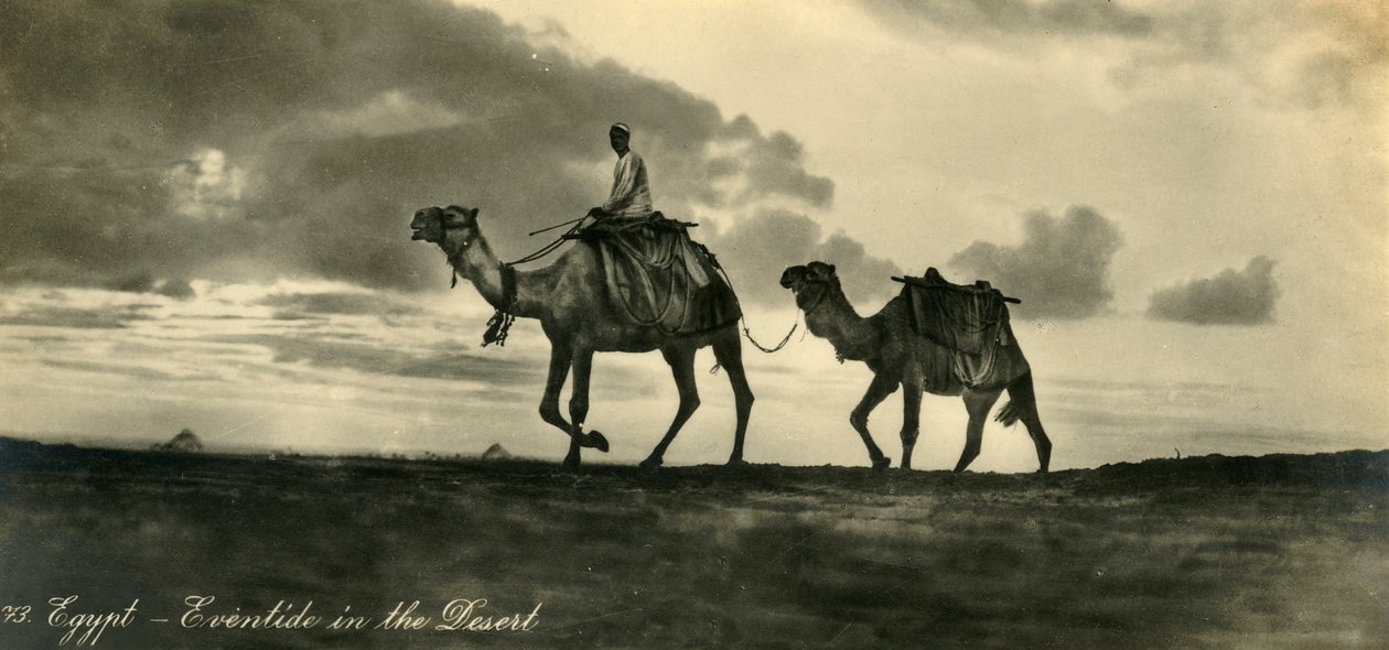 Egypten - Eventide i ørkenen, c1918-c1939. af Unbekannt