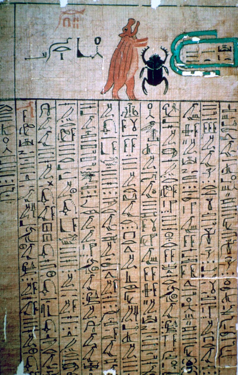 Egyptiske hieroglyffer fra en dødebog af Unbekannt