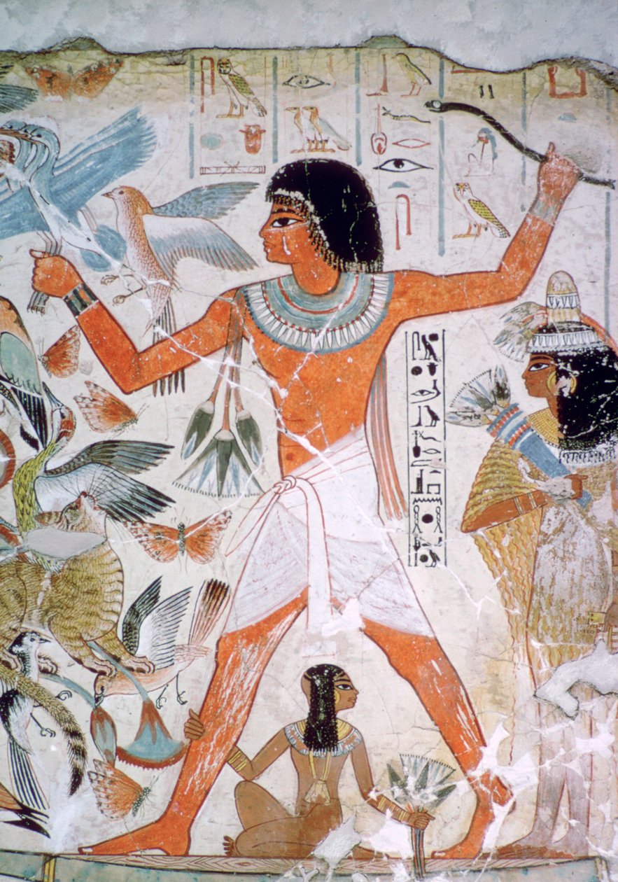 Egyptisk vægmaleri af hønsefugle af Unbekannt