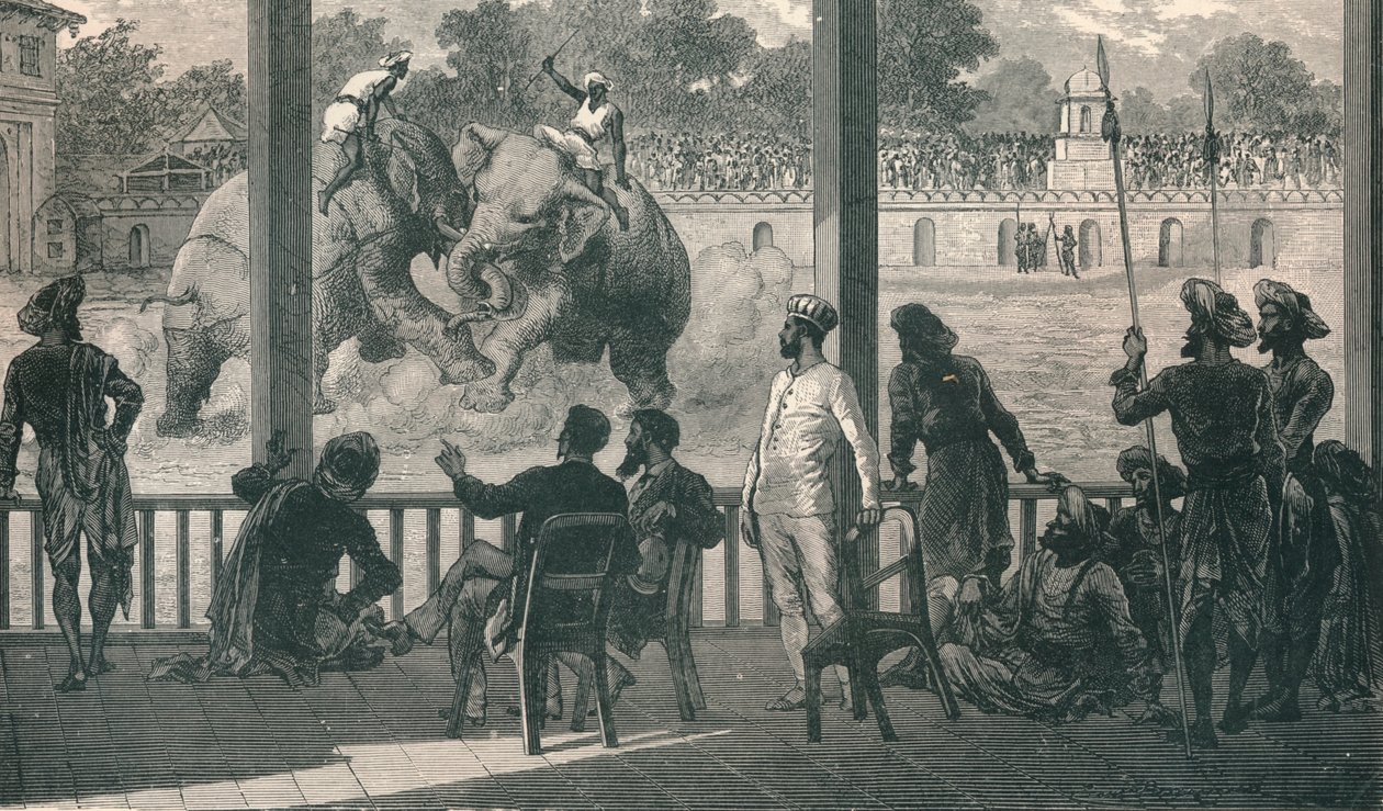 Elefantkamp ved Baroda, 1896 af Unbekannt