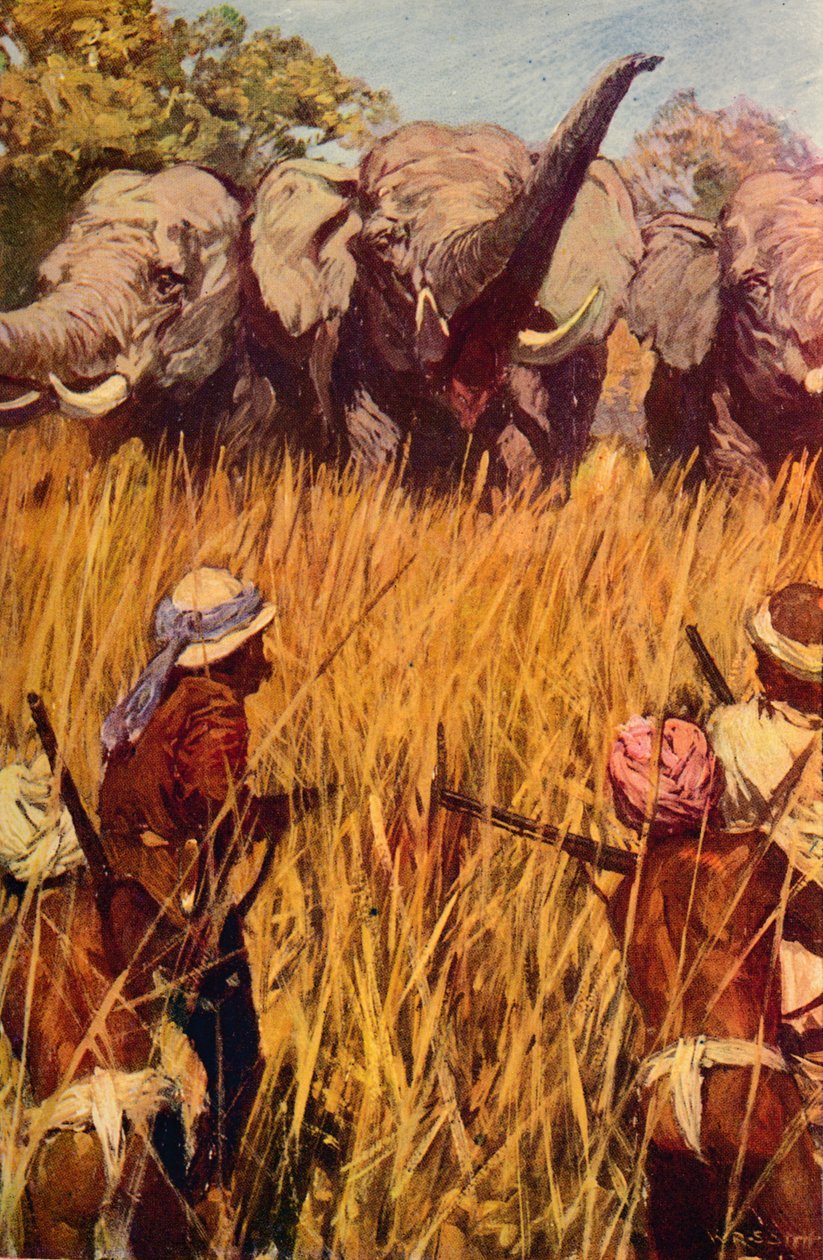 Elephants in Chase, c1850 c1912 af Unbekannt
