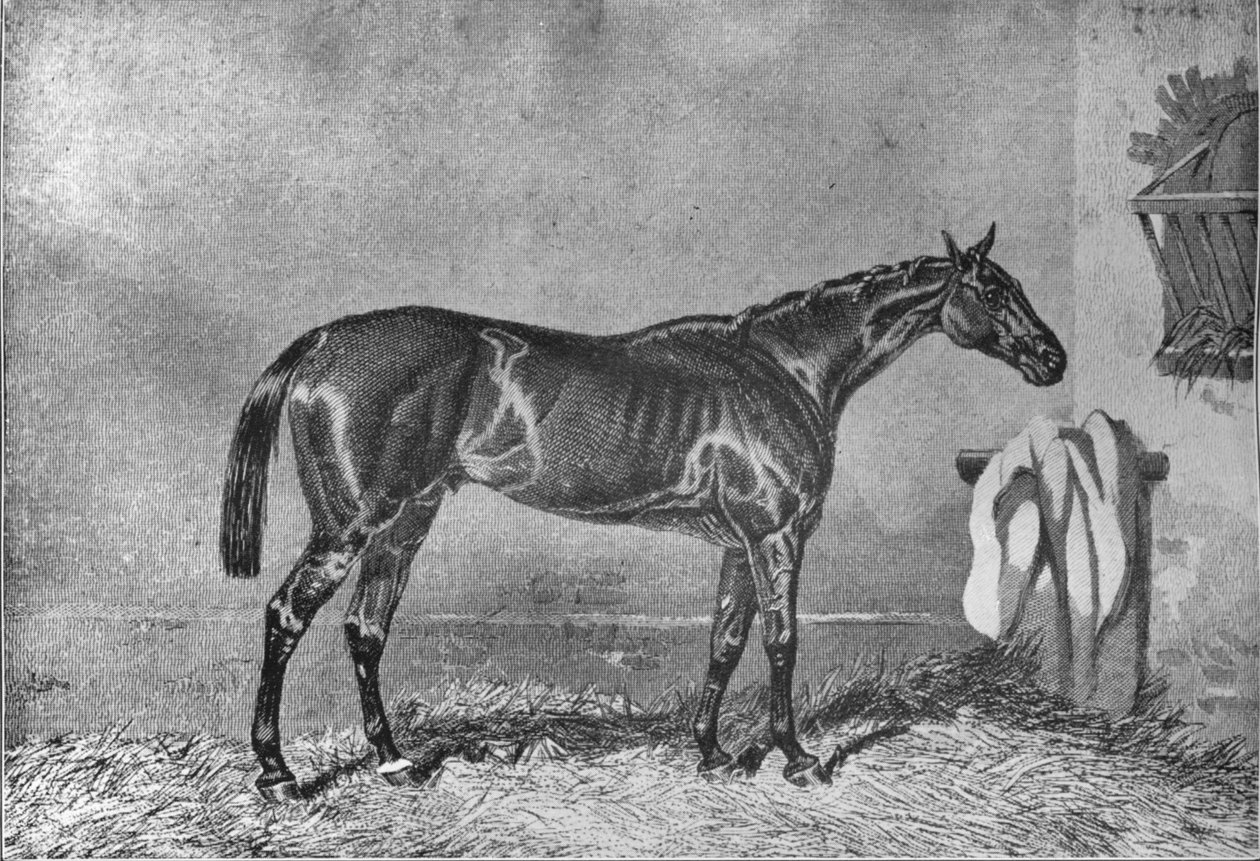 Ellington, 1853-1870, 1911 af Unbekannt