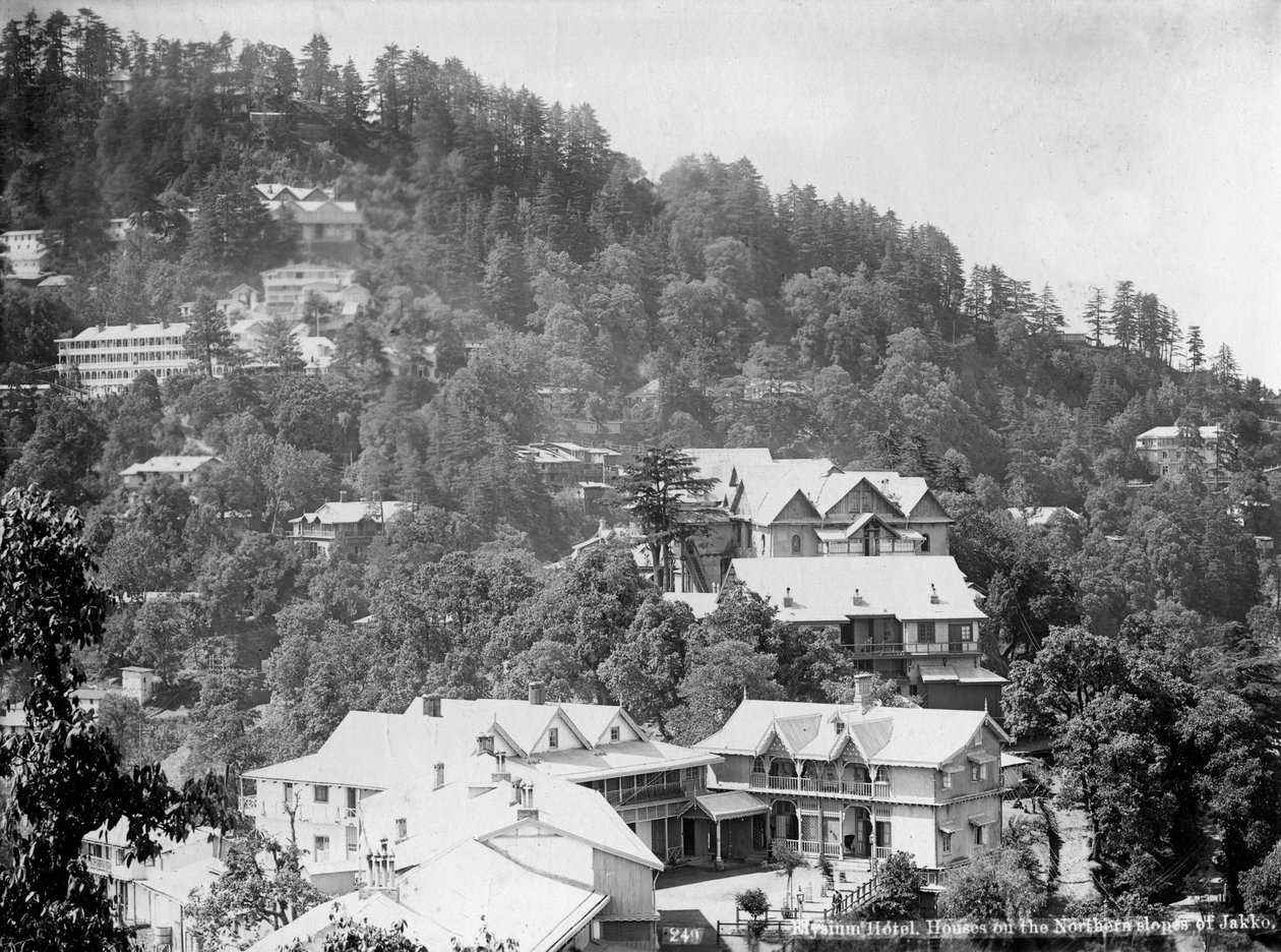 Elysium Hotel, huse på de nordlige skråninger af Jakko, Shimla, Indien, begyndelsen af det 20. århundrede af Unbekannt
