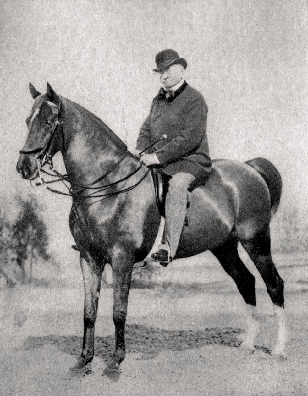 Emile de Girardin, fransk journalist, publicist og politiker, 1866 af Unbekannt