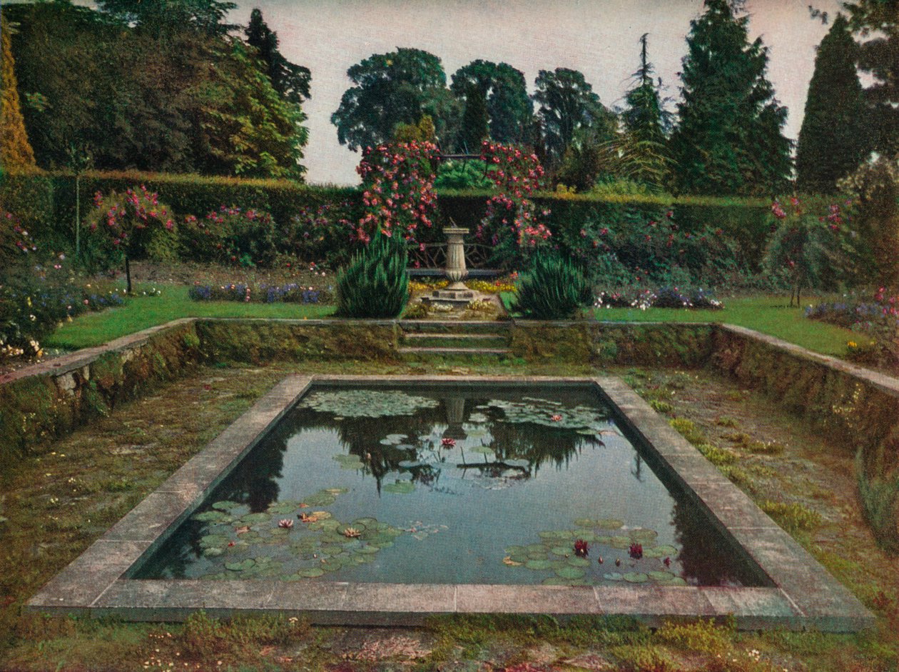 Lukket have og Lily Pool i Gatton Park, Surrey, 1914 af Unbekannt