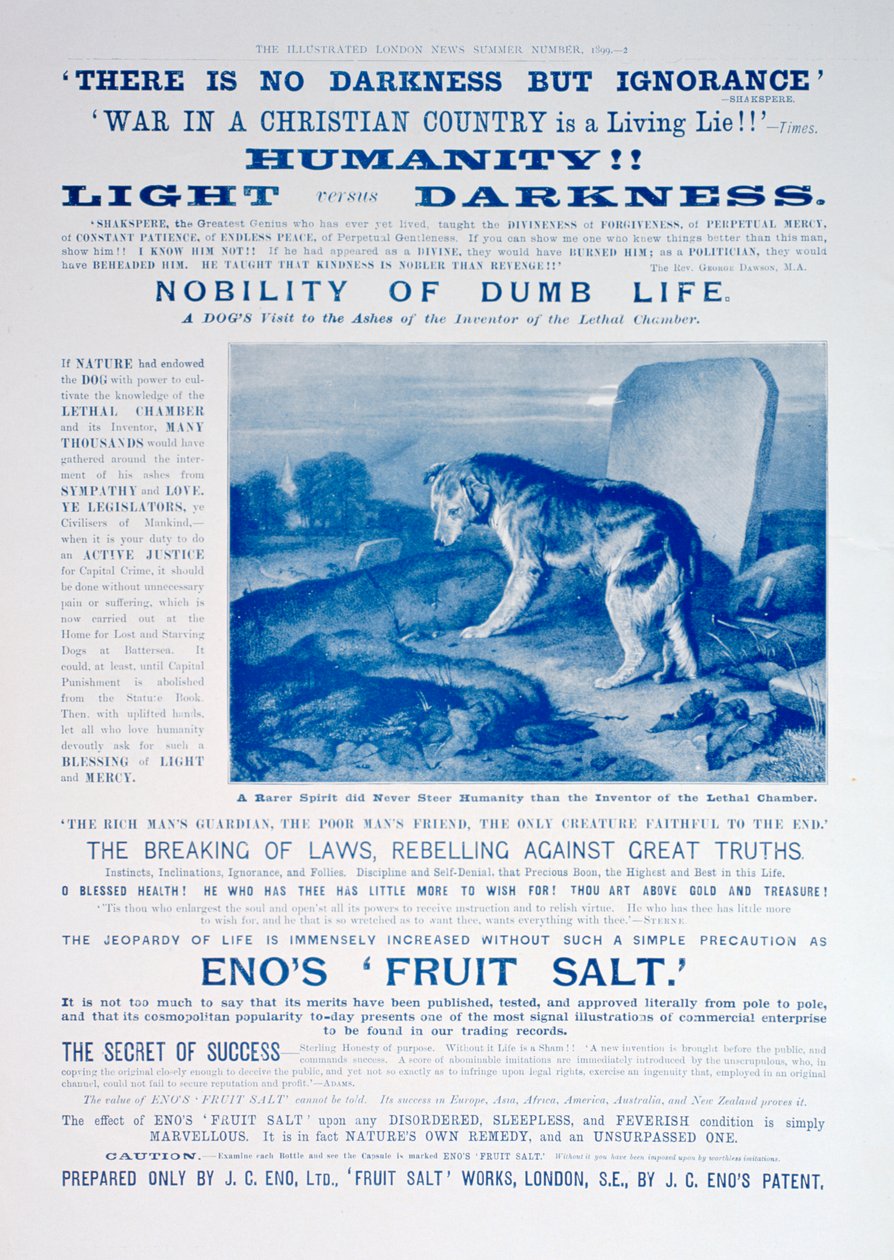 Enos frugtsaltannonce, 1899 af Unbekannt