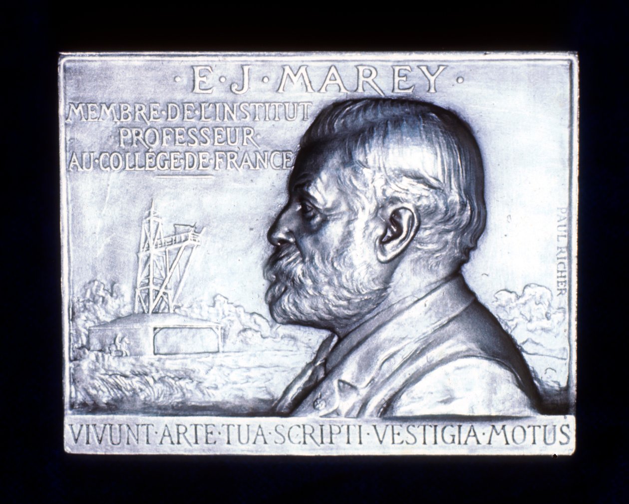 Etienne Jules Marey 1830-1903, fransk fysiolog, 1800-tallet af Unbekannt