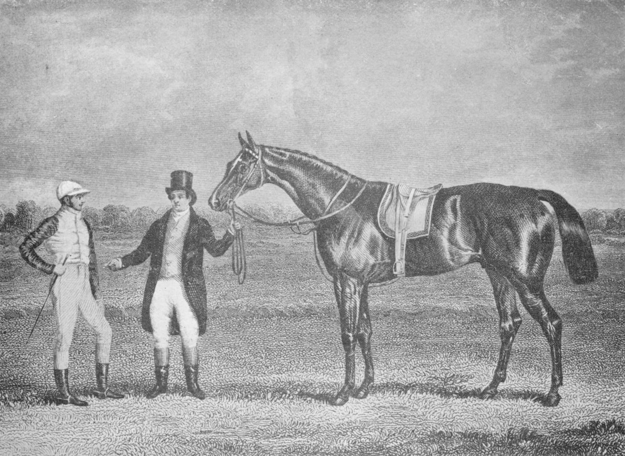 Euclid, nummer to i St. Leger, 1839, efter et dødt løb med Charles XII, c1839, 1911 af Unbekannt