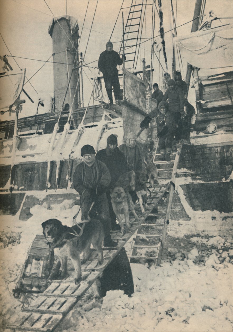 Exercising the Dogs, 1936 af Unbekannt
