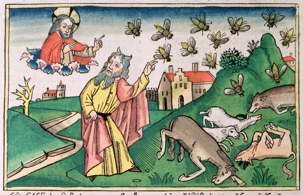 2 Mosebog 8:20-32: Moses og fluesværmen, en af Egyptens syv plager af Unbekannt