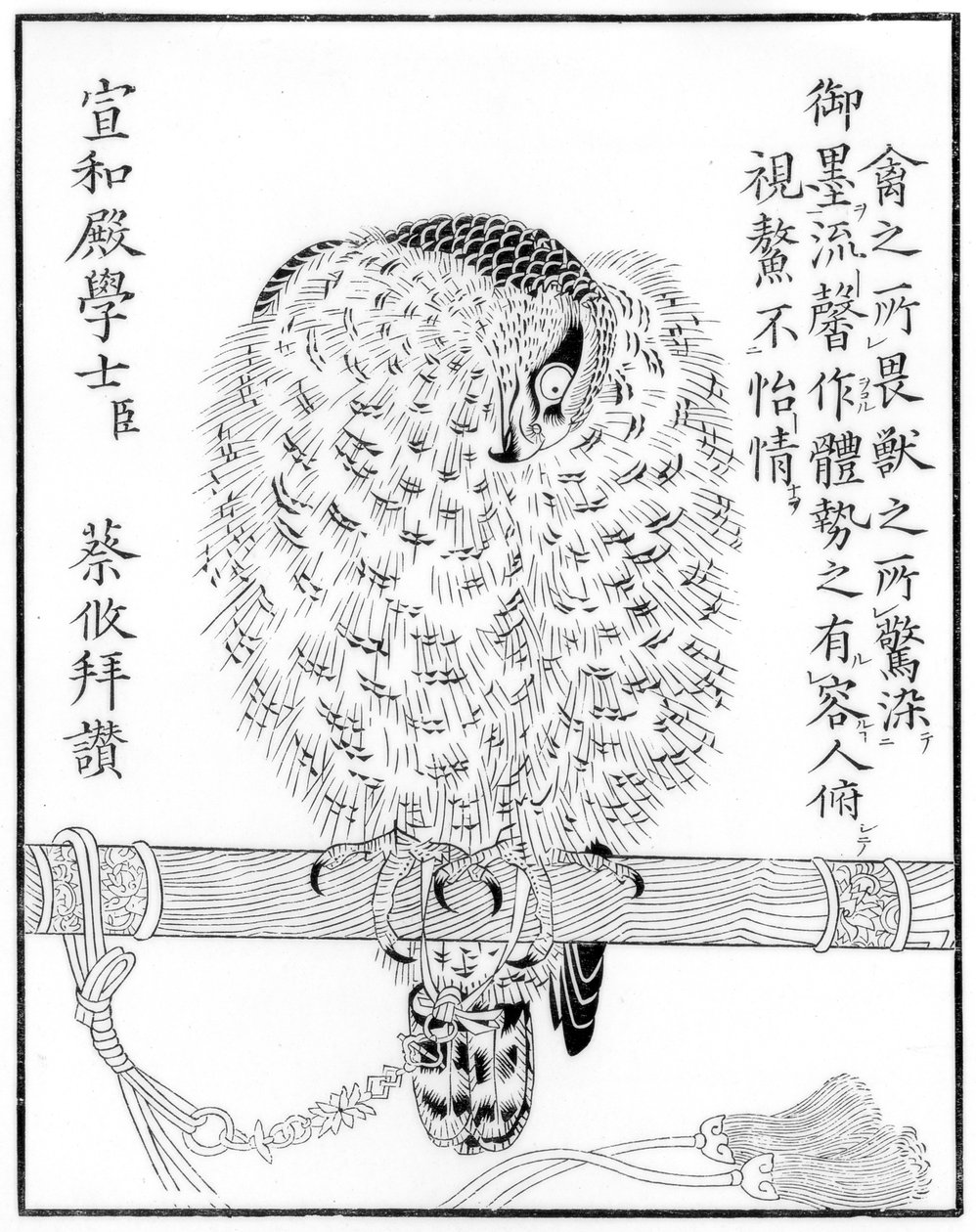 Falcon, 1886 af Unbekannt