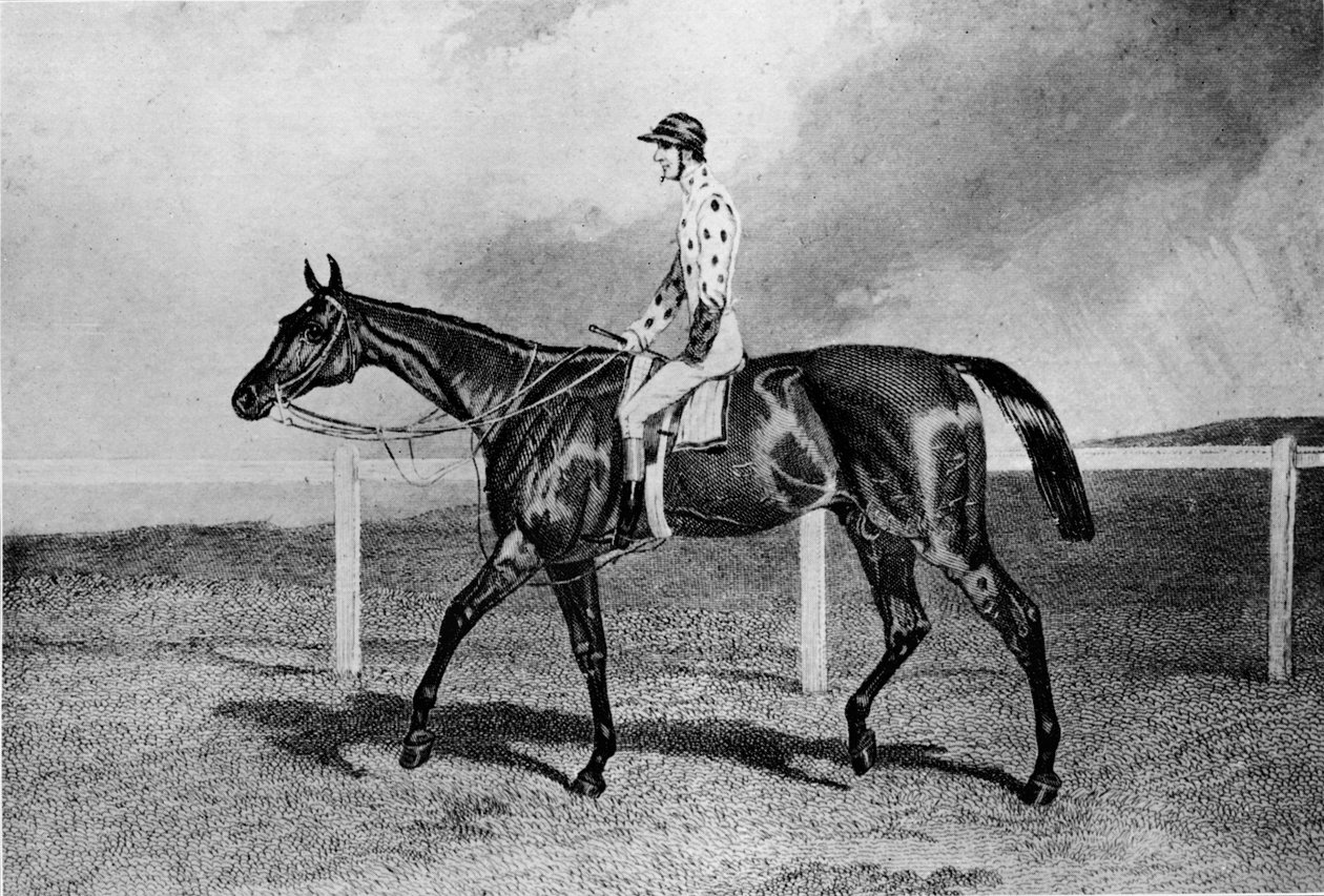 Fandango, 1800-tallet, 1911 af Unbekannt