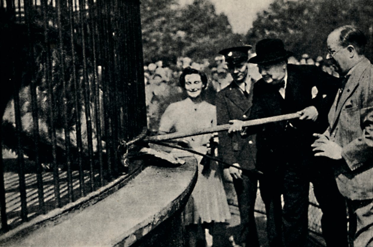 Feeding Rota, The Pinner Lion, 1940