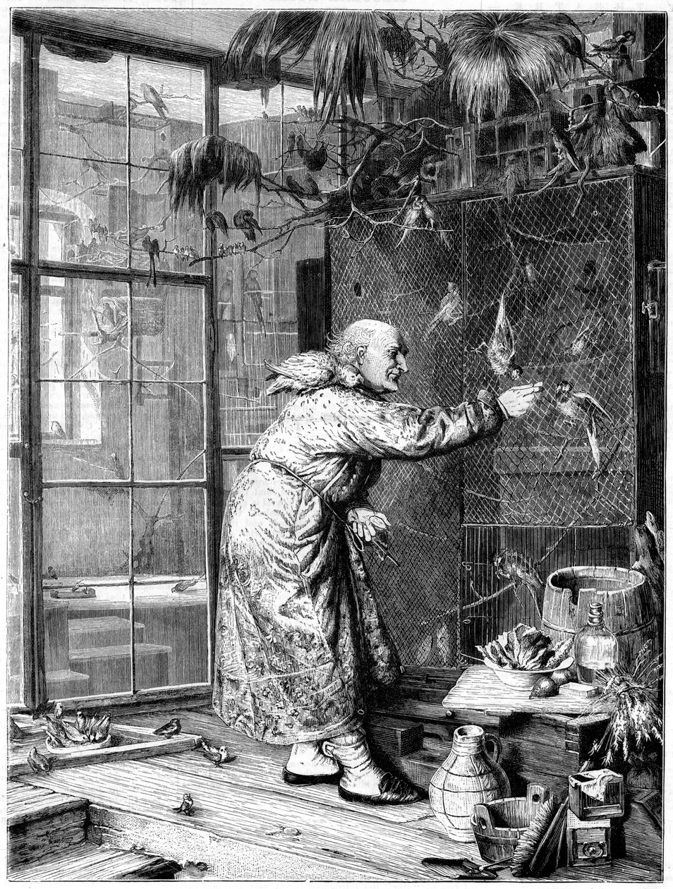 Fodring af kæledyrene, 1880 af Unbekannt