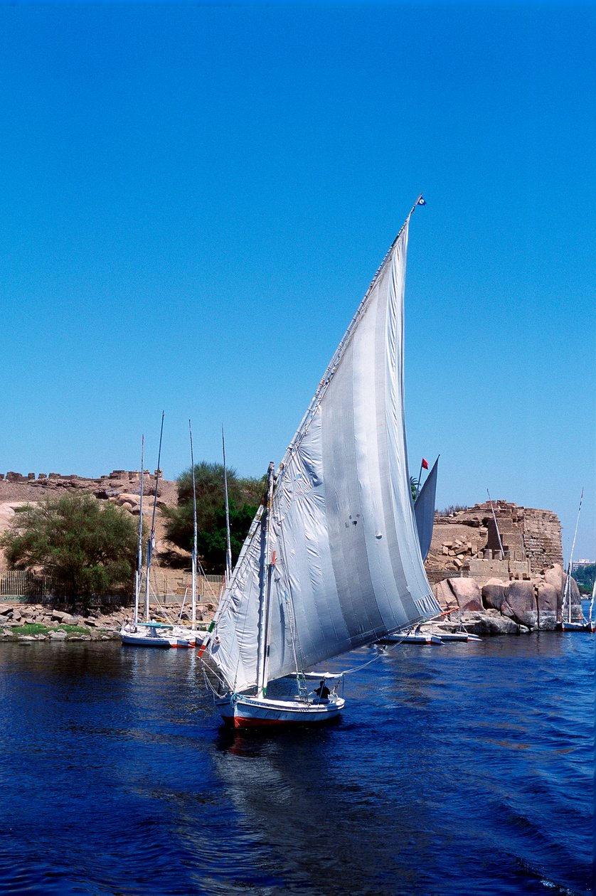 Feluccas på Nilen, Elephantine Island nær Aswan, det moderne Egypten af Unbekannt