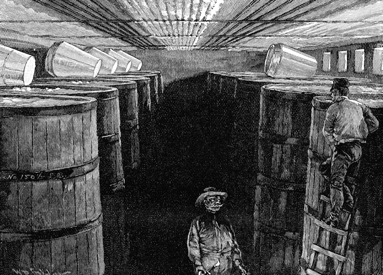 Gæringskælder i et amerikansk bryggeri, 1885 af Unbekannt