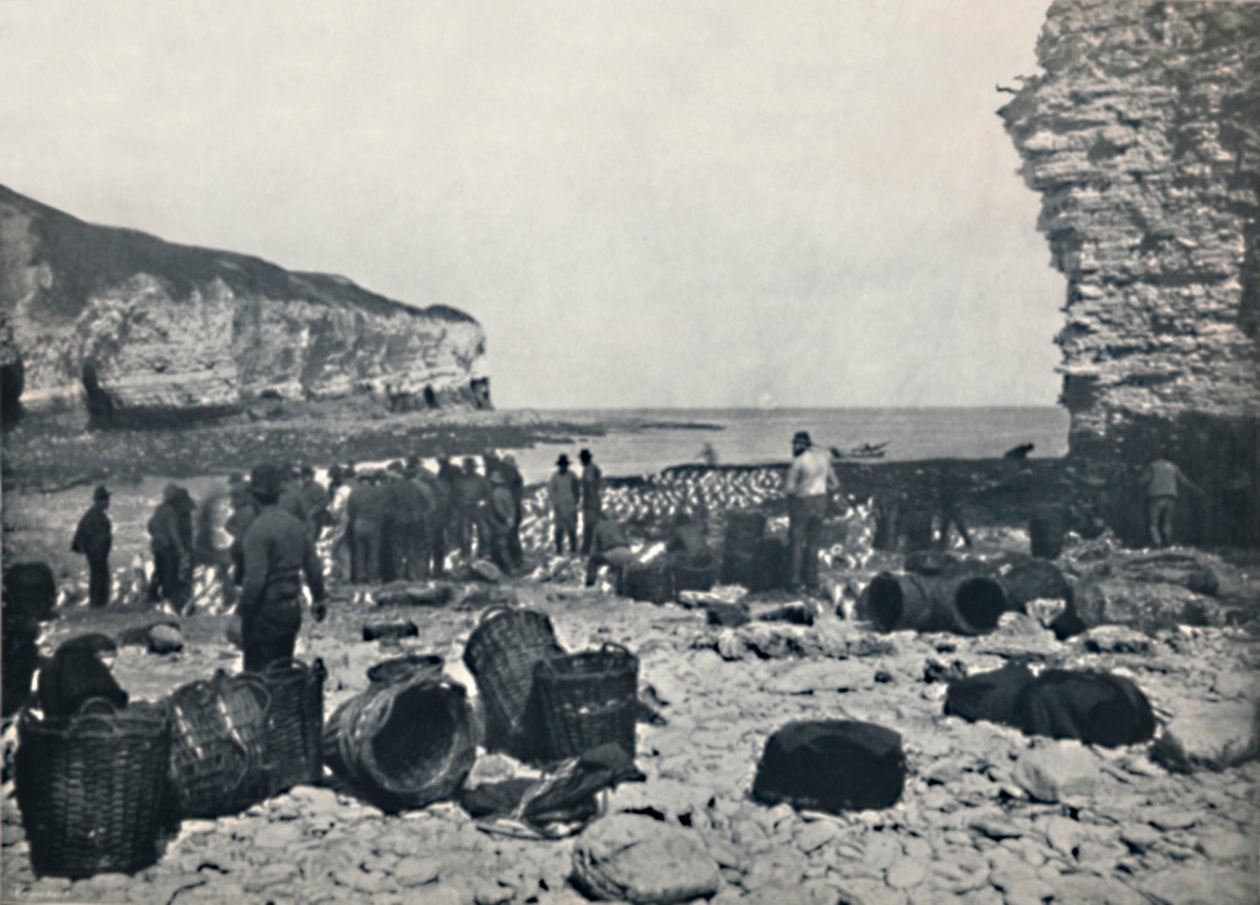 Flamborough - The Fishermen at Work, 1895 af Unbekannt