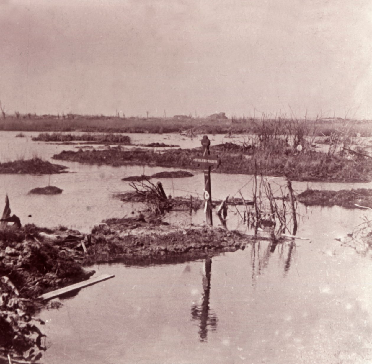 Oversvømmelser, Flandern, Belgien, c1914-c1918 af Unbekannt