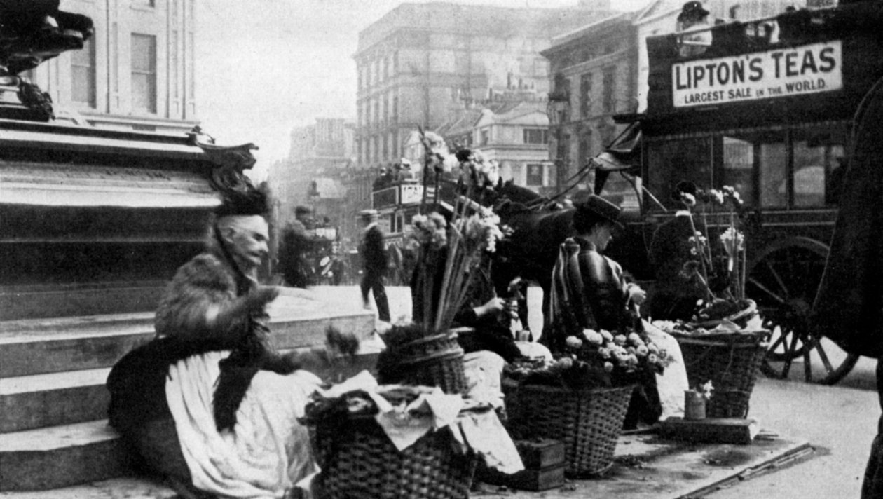 Blomstersælgere på Piccadilly Circus, London, 1901 1951 af Unbekannt