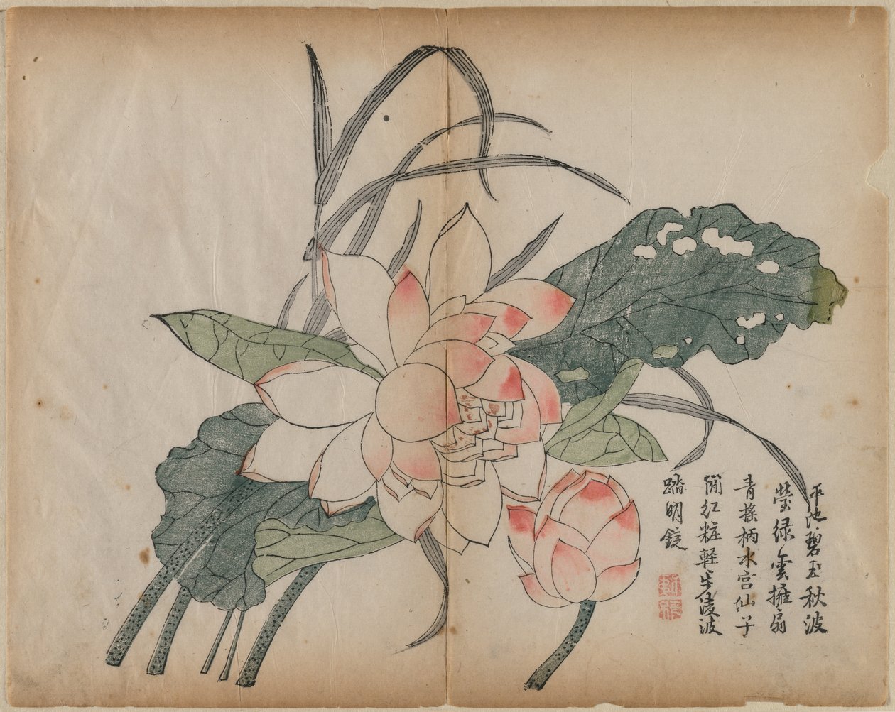 Blomstrende lotus og knop, 1700-tallet. af Unbekannt