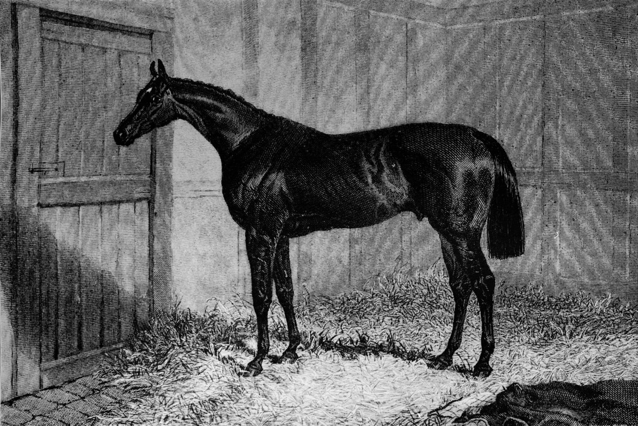 Foig-A-Ballagh, c1841-1860, 1911 af Unbekannt