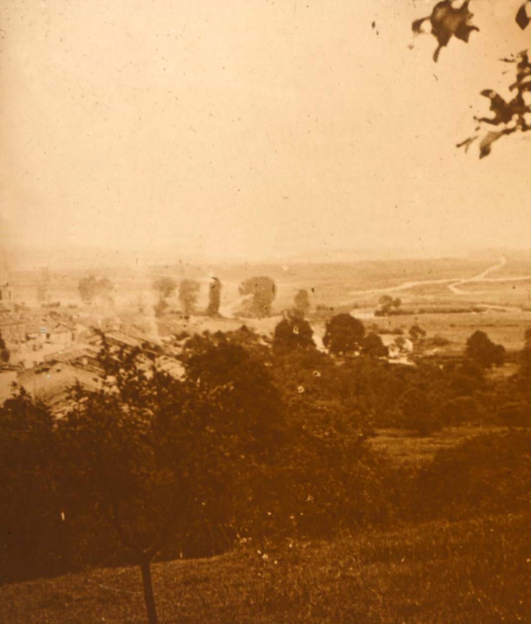 Skov i Argonne, Nordfrankrig, c1914-c1918 af Unbekannt
