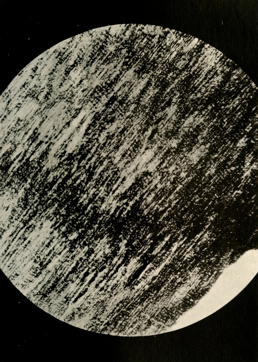 Fossilt træ i sandsten, fra en moræne i breddegrad 85° syd, c1908, 1909. af Unbekannt