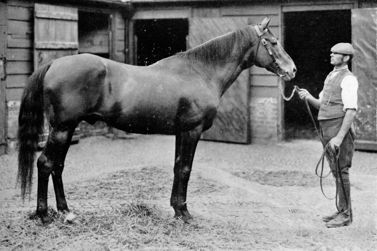 Foxhall, 1880-1904, 1911 af Unbekannt