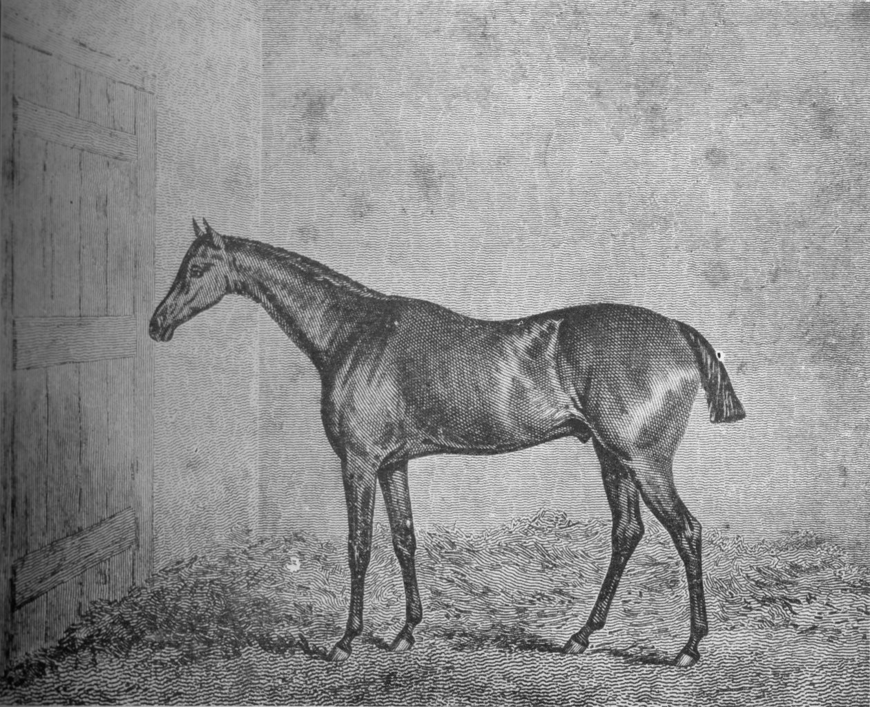 Frederik, 1826-1837, 1911 af Unbekannt
