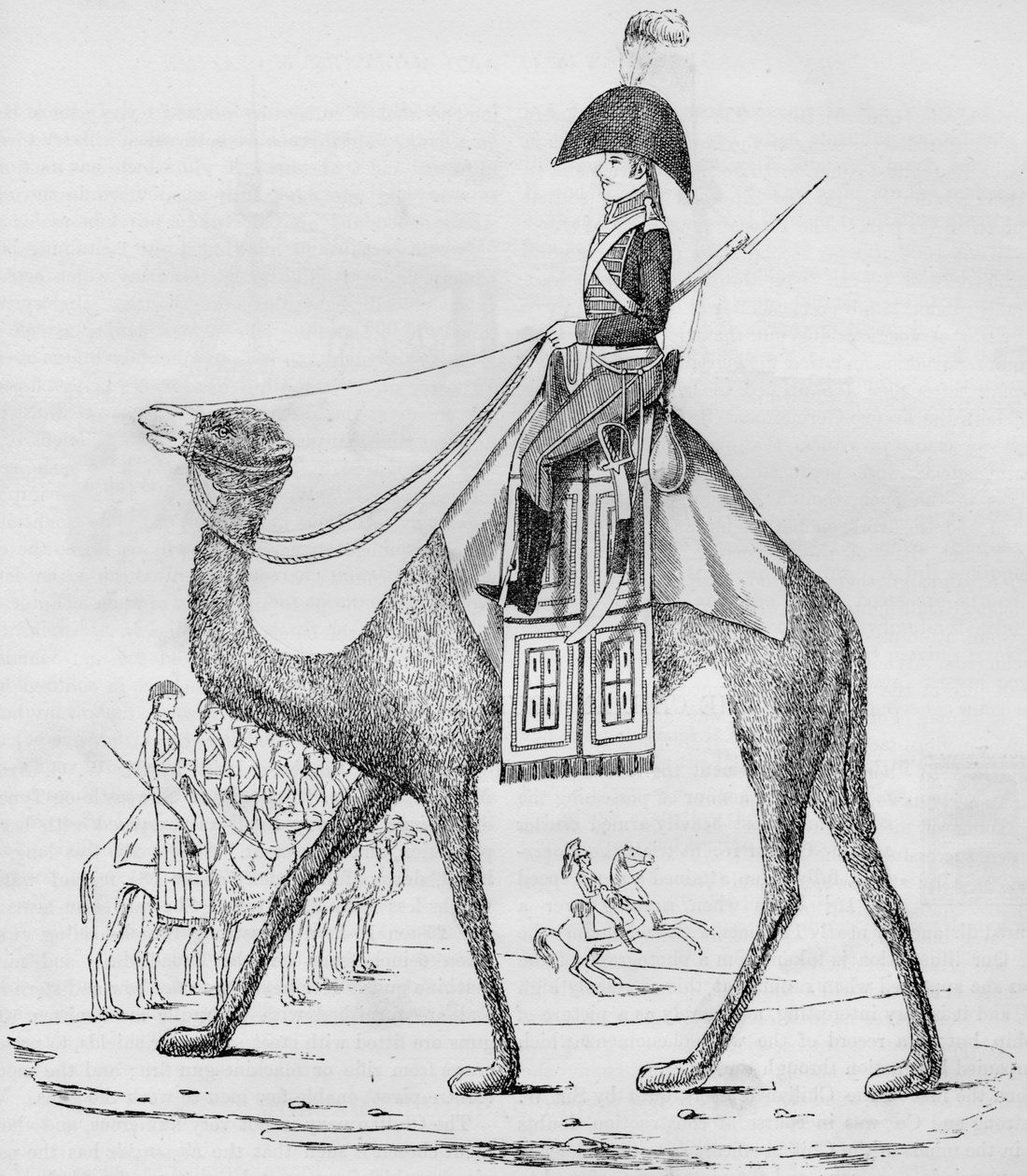 fransk Dromedarregiment. Fanget med en konvoj i den libyske ørken, maj 1801, 1884 af Unbekannt