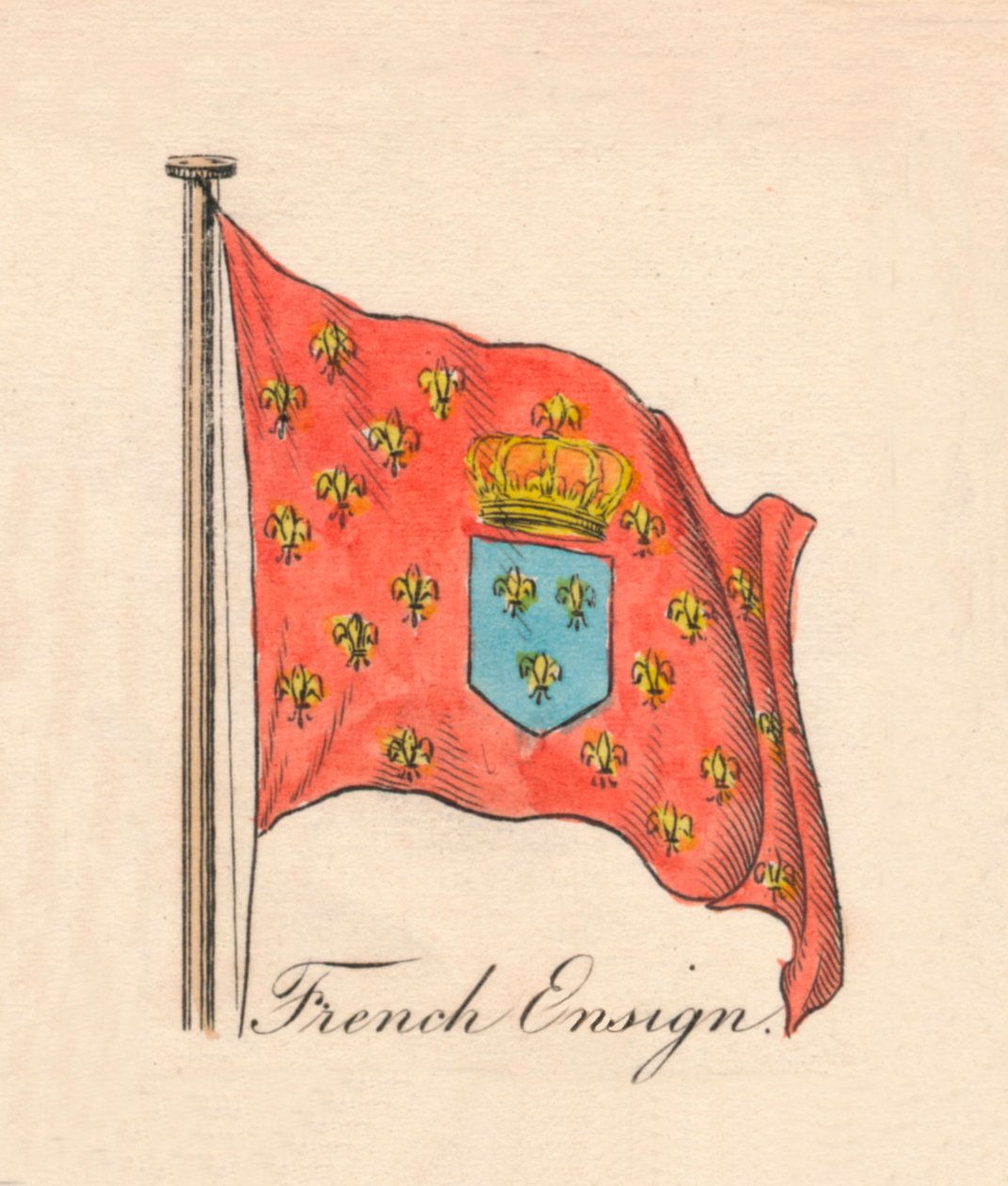 Fransk Fændrik, 1838 af Unbekannt