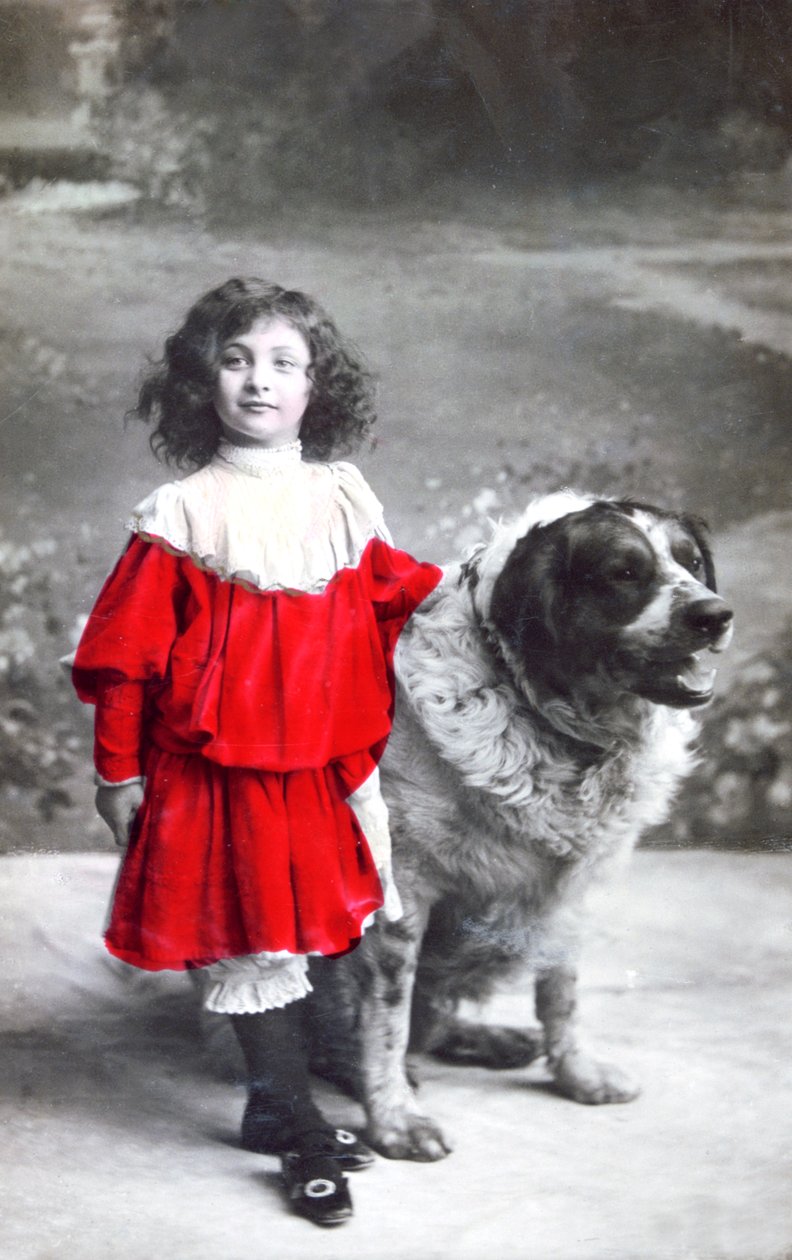 Fransk postkort, c1900 af Unbekannt