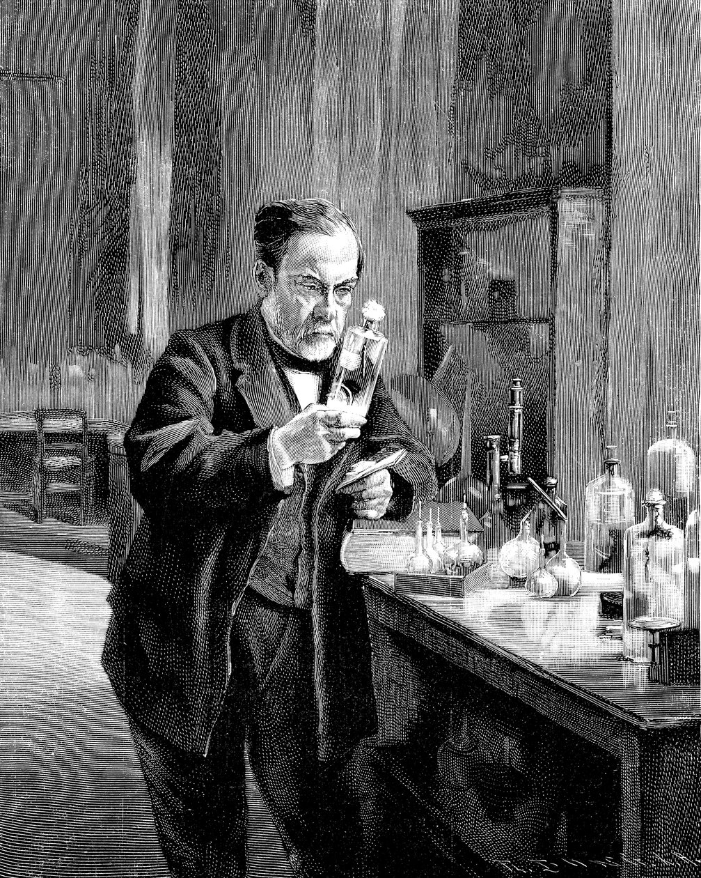 Fransk kemiker og mikrobiolog Louis Pasteur 18221895 af Unbekannt