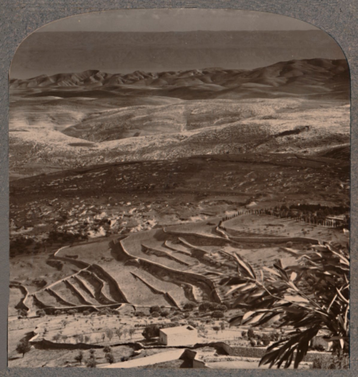 Fra Oliven til Det Døde Hav, på tværs af 40 miles af affald, c1900 af Unbekannt