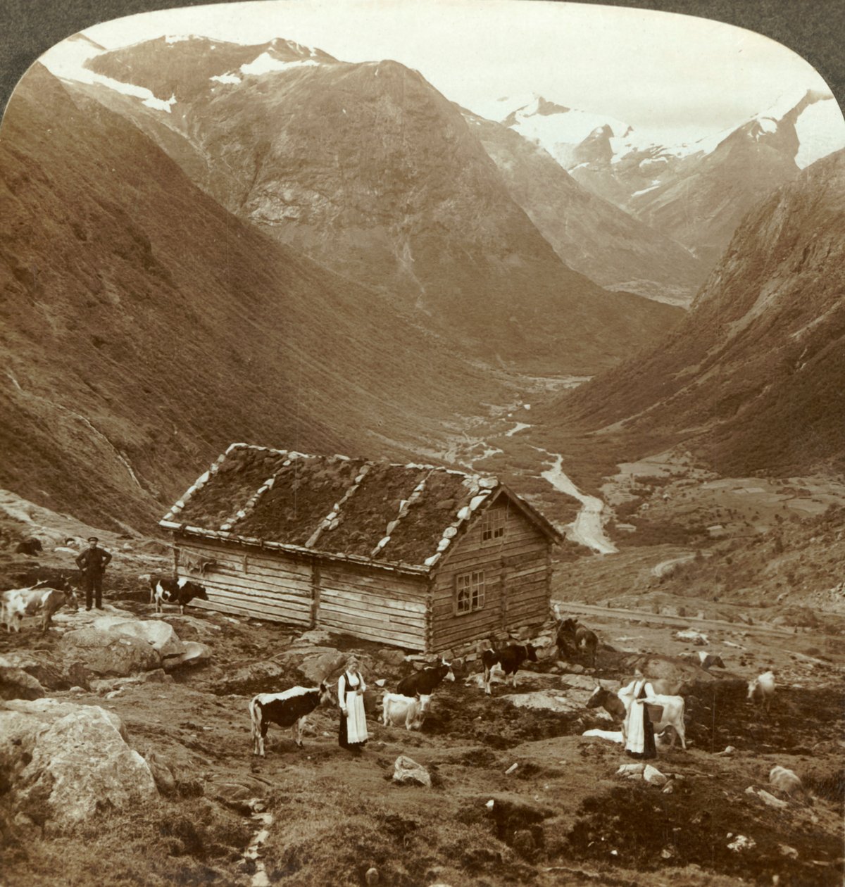 Fra bjergkroen ved Vidde saeter ned ad Viddedalen - Skaala i ret afstand, c1905. af Unbekannt