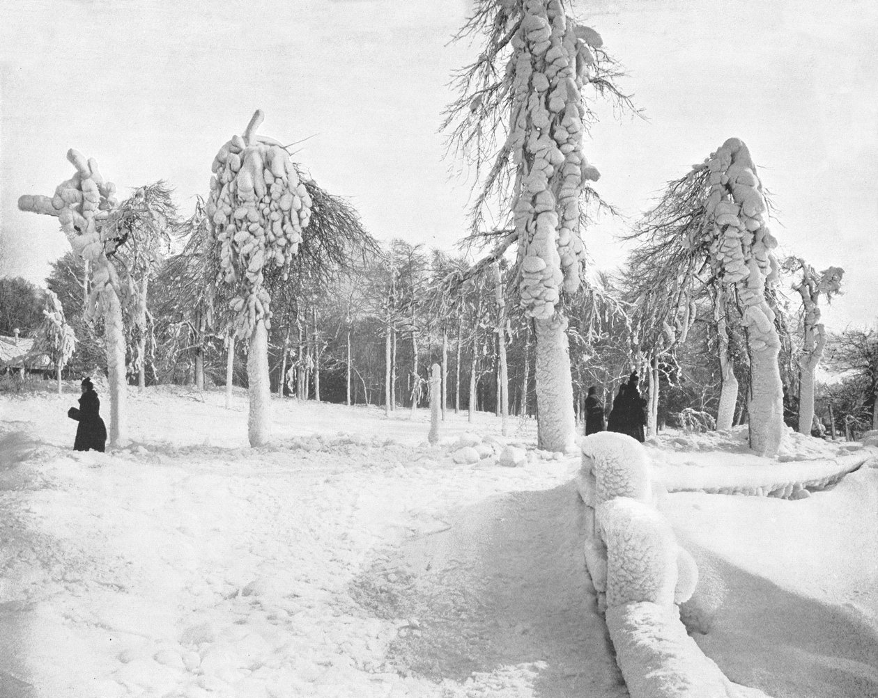 Frostarbejde i Prospect Park, Niagara, USA, c1900. af Unbekannt