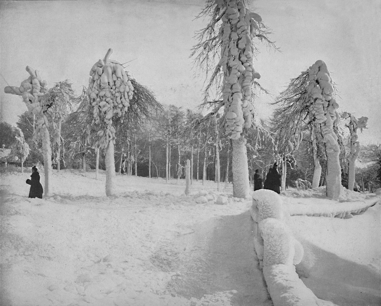 Frostarbejde i Prospect Park, Niagara, c1897. af Unbekannt